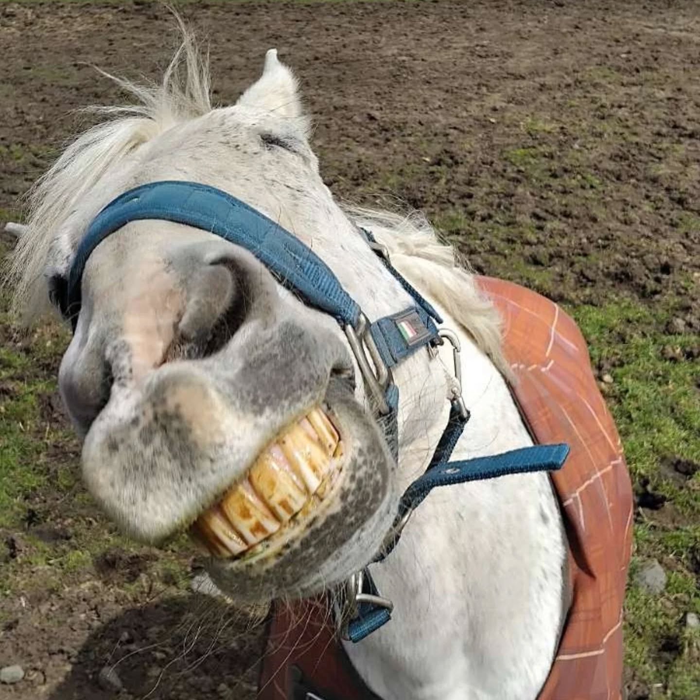 Que faire de ses neurones… ?